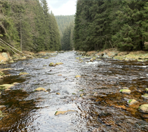 Chaty Hůrka - Lipno